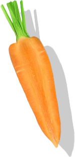 mrkva