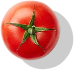 paradajka